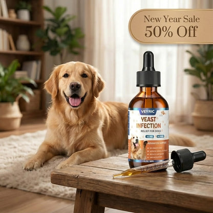 851067ed-ea91-4f22-a7c6-2073c690bd43.jpg__PID:d422e904-8877-4988-aab4-10b824eb2f7c