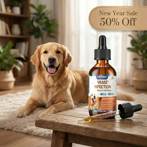 851067ed-ea91-4f22-a7c6-2073c690bd43.jpg__PID:d422e904-8877-4988-aab4-10b824eb2f7c